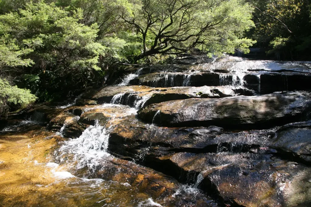 Blog Camping In The Blue Mountains Image2