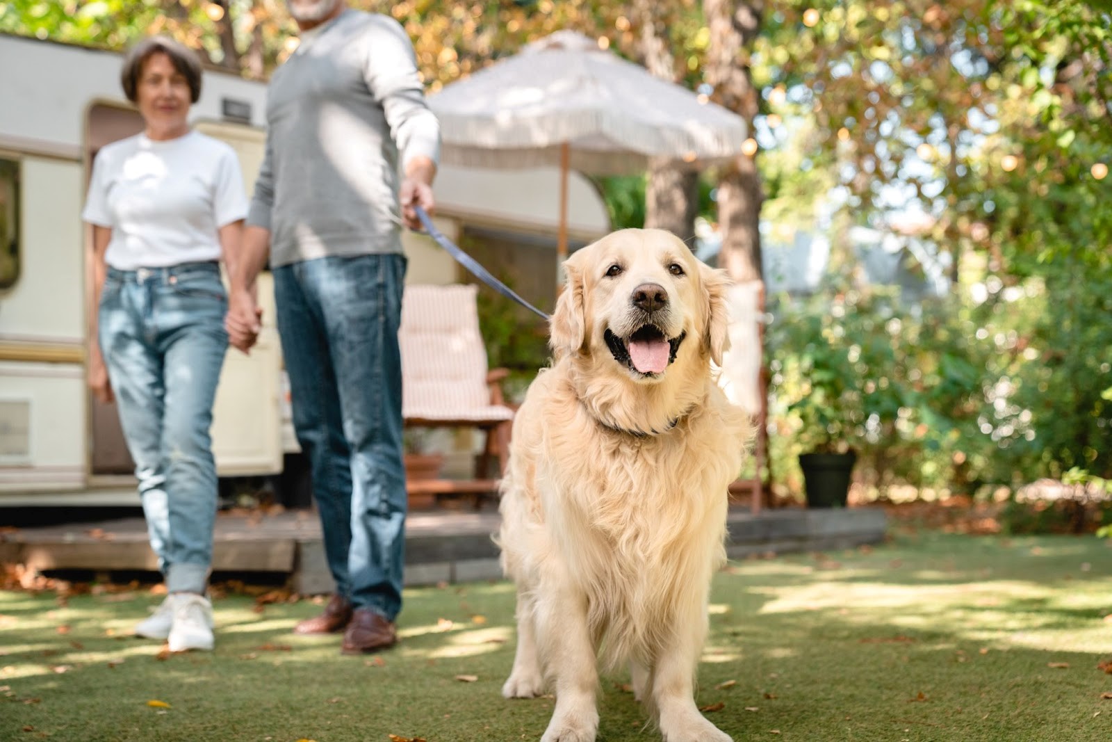 Couple And Dog Camping In Caravan Parks
