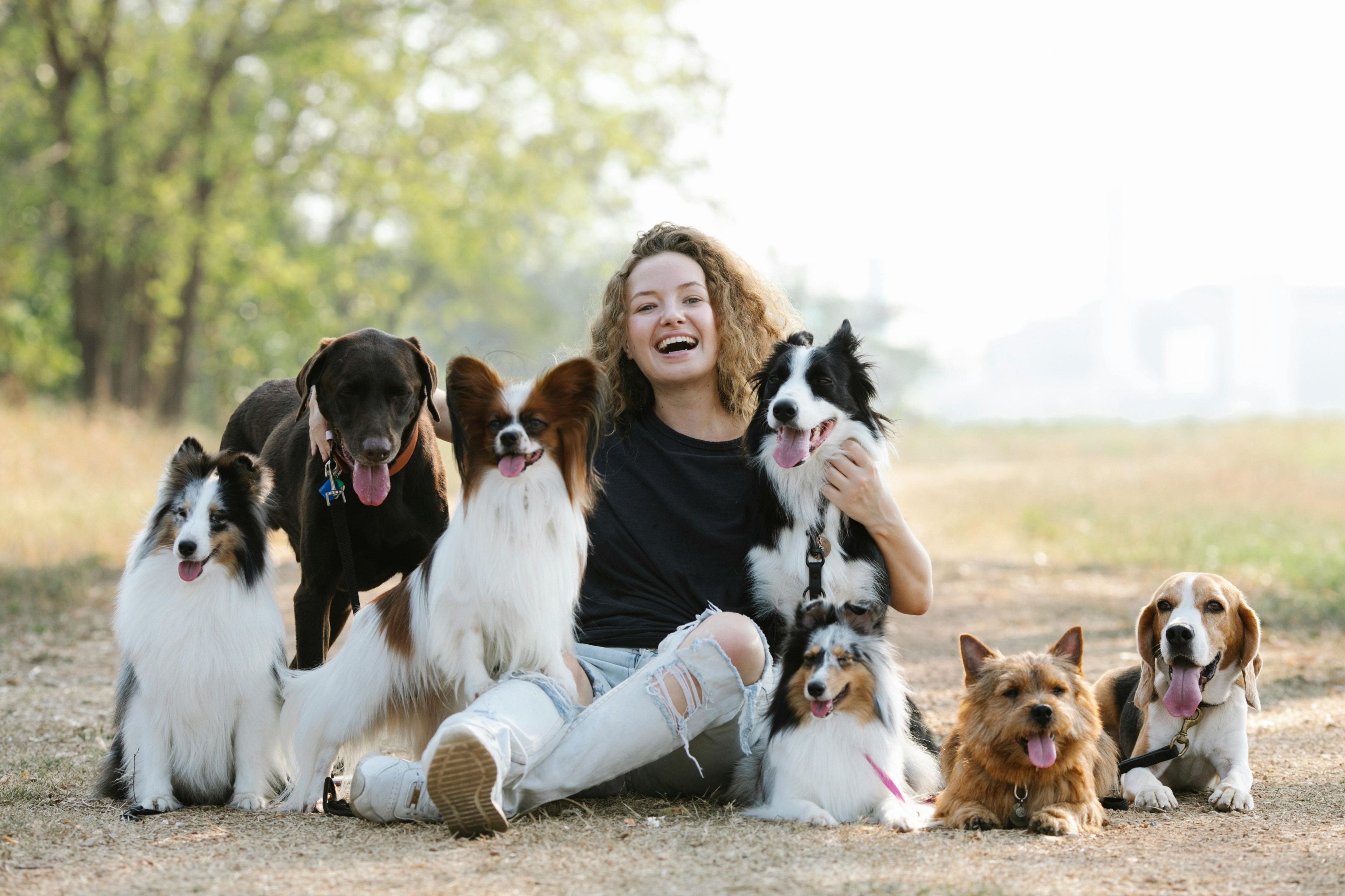 Lady With Multiple Pets In Caravan Park